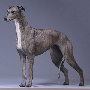 Mr.Z 1/6 Greyhound 002 (Fashion Doll)