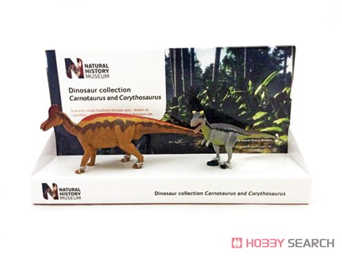 英国自然史博物館 カルノタウルス & コリトサウルス(14cm & 21cm) (完成品) 商品画像1