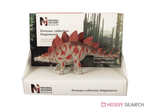 英国自然史博物館 ステゴサウルス (17cm) (完成品) 商品画像1