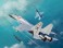 J-15 Chinese Navy Flying Shark (Plastic model) その他の画像1 Thumbnail