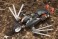 RF-12 Wilbernine:RE (Plastic model) 商品画像12 Thumbnail