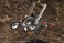 RF-12 Wilbernine:RE (Plastic model) 商品画像9 Thumbnail