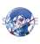 Fate/EXTELLA トレーディング缶バッジ 10個セット (キャラクターグッズ) 商品画像4