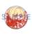 Fate/EXTELLA トレーディング缶バッジ 10個セット (キャラクターグッズ) 商品画像1