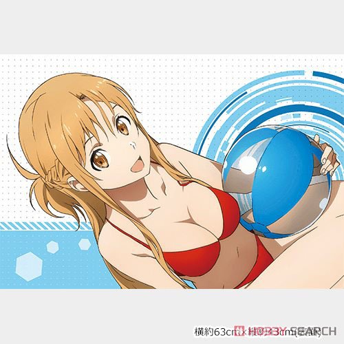 Sword Art Online the Movie -Ordinal Scale- Pillow Case (Asuna & Suguha) (Anime Toy) Item picture1