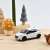 Peugeot 208 GTi 30th 2014 PearlWhite (Diecast Car) Other picture1
