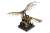 Leonardo Da Vinci Flying Machine (Ornithopter) (Plastic model) Other picture1