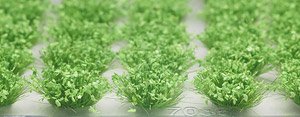 Grassland / Grass Height: 12mm (Green w/Sprout) (42 Pieces) (Model Train)