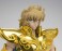 Saint Cloth Myth EX Leo Aiolia -Revival Ver.- (Completed) 商品画像8 Thumbnail