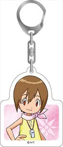 Digimon Adventure Acrylic Key Ring Hikari Yagami (Anime Toy)