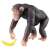 アニア AS－14 チンパンジー (動物フィギュア) 商品画像1
