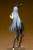 Valkyria Chronicles Selvaria Bles Bunny Spy Ver. (PVC Figure) Item picture6