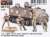 U.S. Army M113 ACAV in Vietnam War - 4 Figures w/Wood Case (Plastic model) Package1