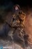 3rd SS-Panzer-Division MG34 Gunner Ver.C `Curtis` (Fashion Doll) 商品画像7 Thumbnail