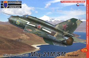 MiG-21M/SM [Russian Special] (Plastic model)