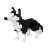 Nanoblock Dog Breed Siberian Husky (Block Toy) Item picture1