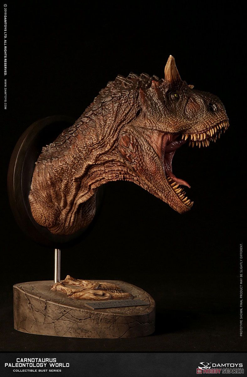 Dam Toy Museum Series Carnotaurus Bust B Color Ver. (Completed) Item picture2