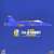 F/A-18 アメリカ海軍 ブールーエンジェルス 海軍航空100周年塗装 2011 (完成品飛行機) パッケージ1