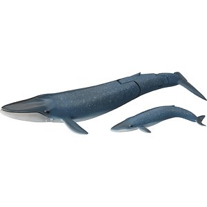 アニア AL-11 シロナガスクジラ親子 (動物フィギュア)