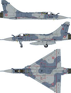 フランス空軍 ミラージュ2000 カンブレー＝エピノワ空軍基地 (デカール)