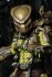 Predator: 1718/ Golden Angel Elder Predator Ultimate 7inch Action Figure (Completed) その他の画像3 Thumbnail