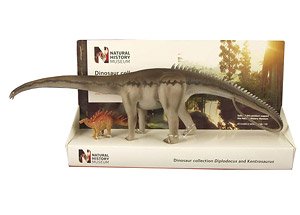 英国自然史博物館 ディプロドクス & ケントロサウルス(40cm & 9cm) (完成品)