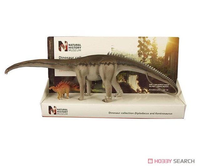 英国自然史博物館 ディプロドクス & ケントロサウルス(40cm & 9cm) (完成品) 商品画像1
