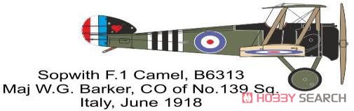 英・ソッピース・キャメルF.1複葉戦闘機・2機セット (プラモデル) 塗装4