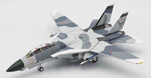 F-14A アメリカ海軍 VF-126 バンディッツ Red 31 #159855 (完成品飛行機)