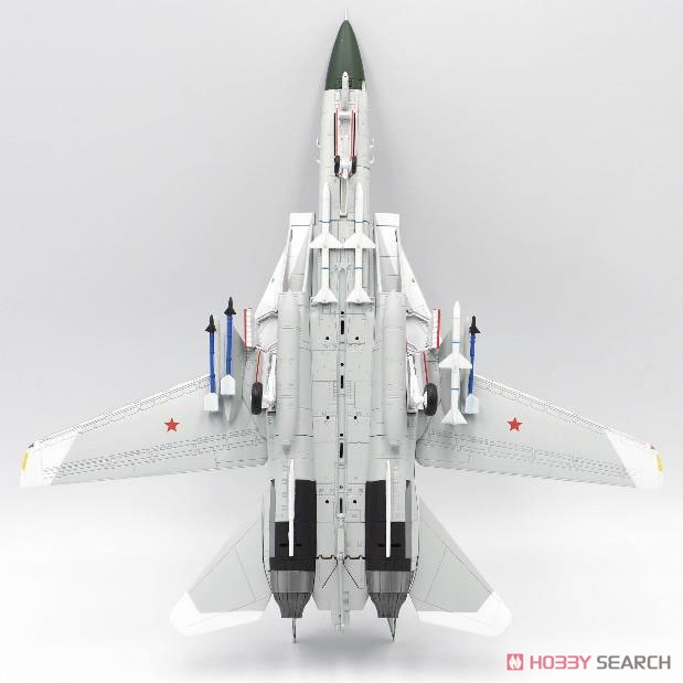 F-14A アメリカ海軍 VF-126 バンディッツ Red 31 #159855 (完成品飛行機) 商品画像6