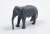 アジア象 (プラモデル) 商品画像1