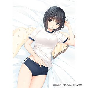 珈琲貴族先生 描き下ろし B2タペストリー 青山澄香 体操服 キャラクターグッズ ホビーサーチ キャラクターグッズ