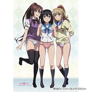 Strike the Blood] B1 Tapestry (Yukina & Asagi & Sayaka/School