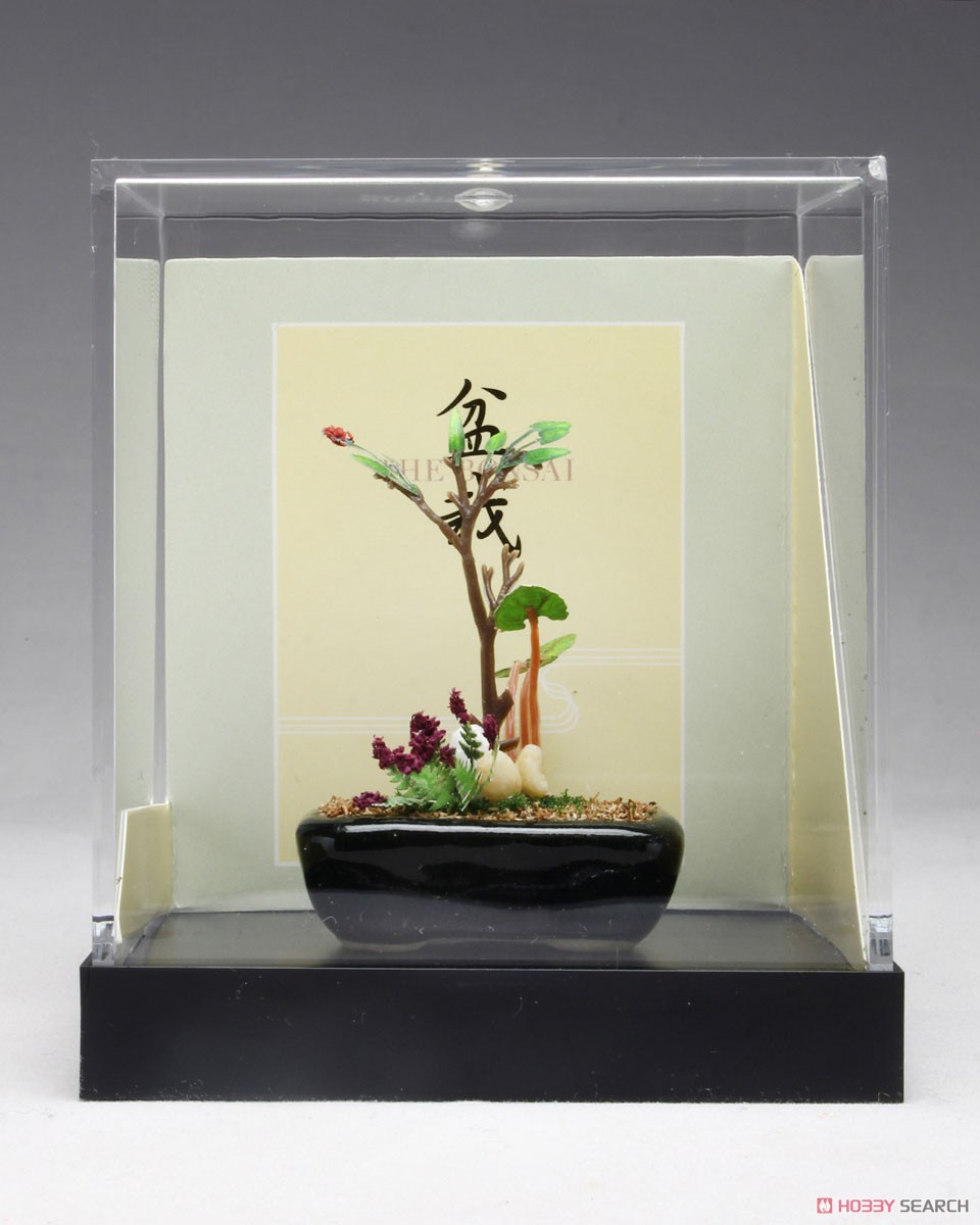 THE BONSAI 1/12 Wild Plants Bonsai w/Black Square Pod (Fashion Doll) Item picture1