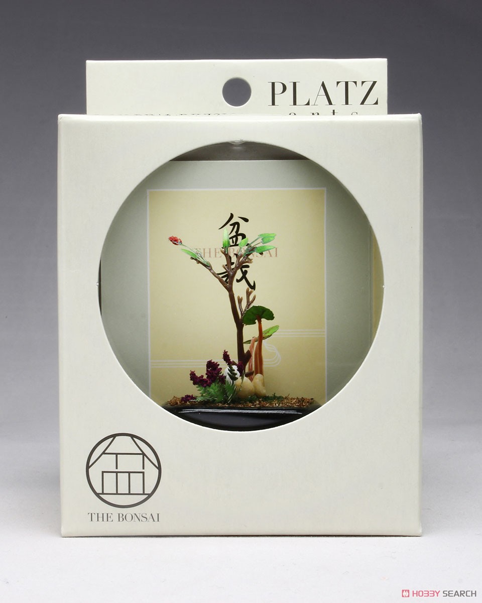 THE BONSAI 1/12 Wild Plants Bonsai w/Black Square Pod (Fashion Doll) Package1