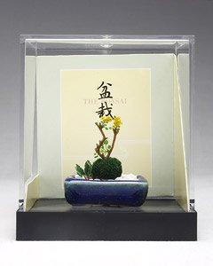 THE BONSAI 1/12 Wild Plants Bonsai w/Navy Blue Square Pod (Fashion Doll)
