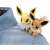 Pokemon Plush Tiny Shoulder Ride Jolteon (Character Toy) Other picture1
