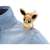 Pokemon Plush Tiny Shoulder Ride Eevee (Character Toy) Other picture1