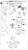 VF-31F ジークフリード メッサー機/ハヤテ搭乗機 w/リル・ドラケン `劇場版マクロスΔ` (プラモデル) 設計図6