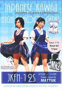 JK FIGURE Series JKFN-12S (1/12スケール) (プラモデル)