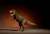 Soft Vinyl Toy Box 018C Tyrannosaurus Rex (Classic Image Color) (Completed) Item picture2