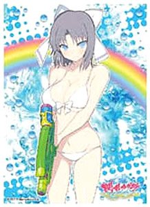 キャラクタースリーブ 閃乱カグラ PEACH BEACH SPLASH 雪泉B (EN-599) (カードスリーブ)