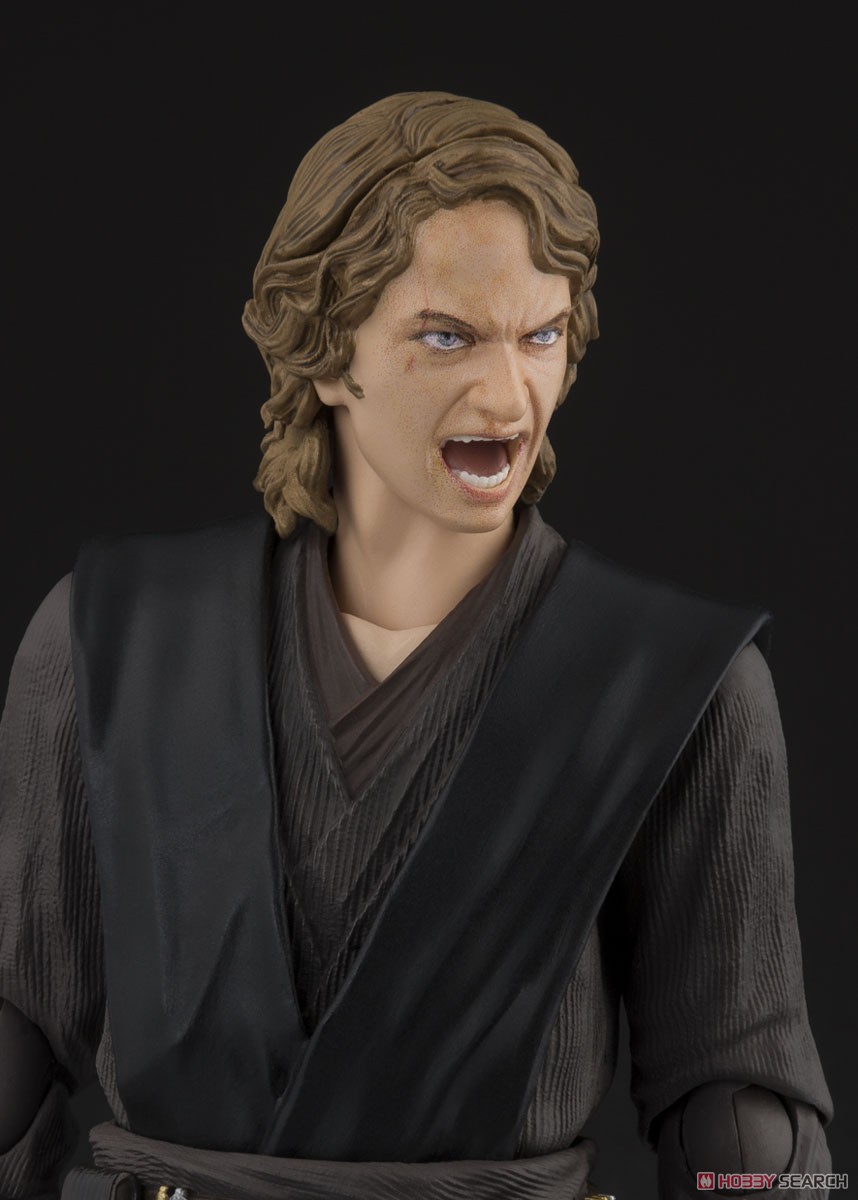 S.H.Figuarts Anakin Skywalker (Revenge of the Sith) (Completed) Item picture8