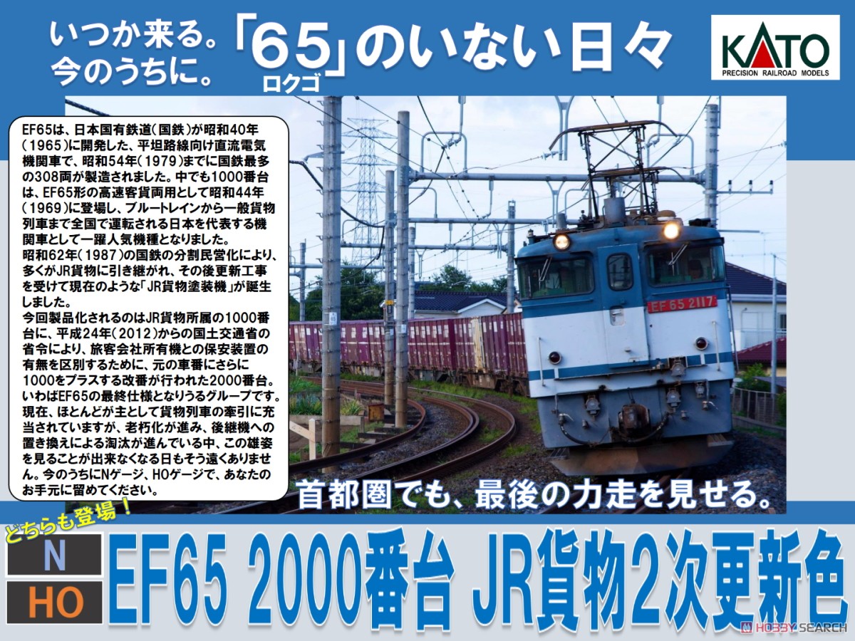 EF65-2000 Japan Freight Railway Second Renewed Color (Model Train) Other picture2