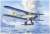 Fairey Albacore Torpedo Bomber (Plastic model) Other picture1