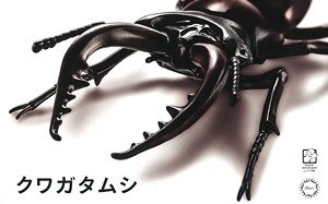 いきもの編 クワガタムシ (プラモデル)