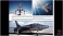 F-105 Thunderchief in Action (SC) (Book) その他の画像1 Thumbnail