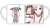 劇場版 ソードアート・オンライン -オーディナル・スケール- アスナとひと息 マグカップ (キャラクターグッズ) 商品画像1