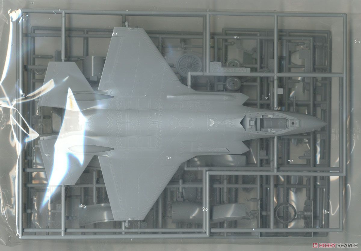 F-35 ライトニングII (A型) `航空自衛隊 臨時F-35飛行隊` (プラモデル) 中身1