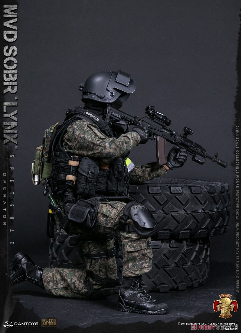 Damtoys 78058 Russian Spetsnaz MVD SOBR LYNX 1/6 Figure (Fashion Doll) Item picture14